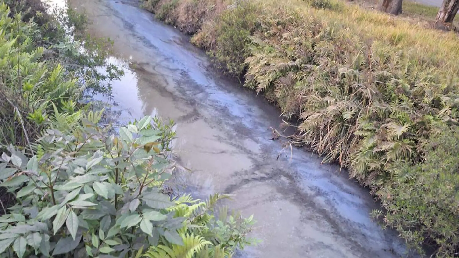 La multinacional Ternium, dedicada a la producción de aceros a nivel industrial, contaminó de manera ilegal las aguas del Río Atoyac